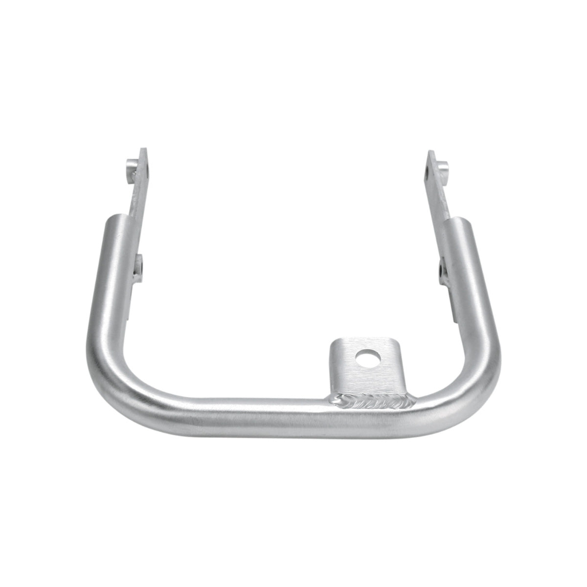 DG Performance Rear Grab Bar